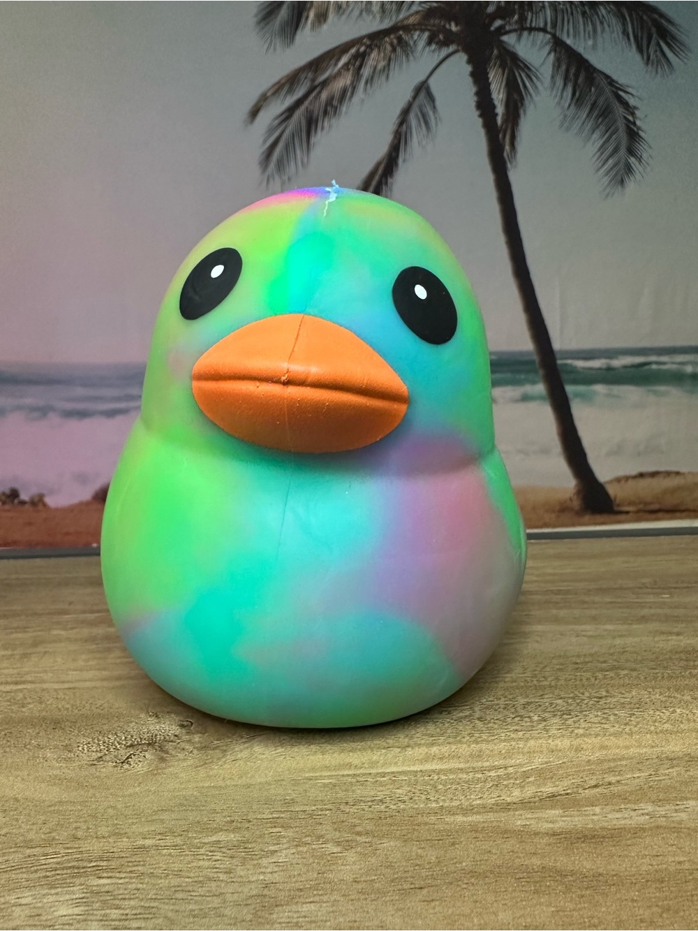 Tie-Dye Duck Squishy